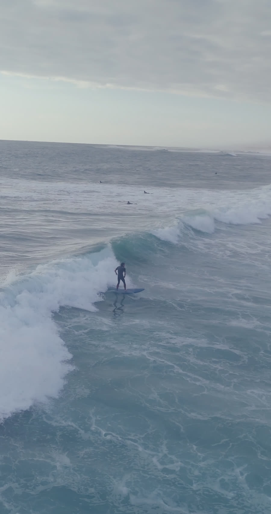 Surfeur dans la brume matinale